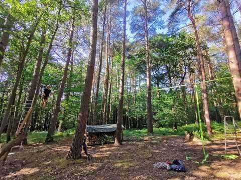 Activity birthday party